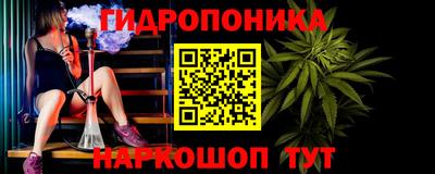 прущие грибы Кингисепп