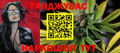 прущие грибы Кингисепп