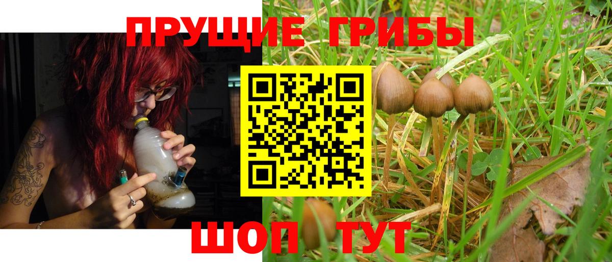 цена наркотик  Вход с VPN  Копейск  Псилоцибиновые грибы прущие грибы 